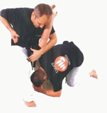 KDT bernard